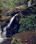 Rom Klao Pradon Waterfall