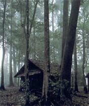 Phu Hin Rong Kla National Park