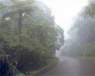 อุทยานแห่งชาติภูหินร่องกล้า