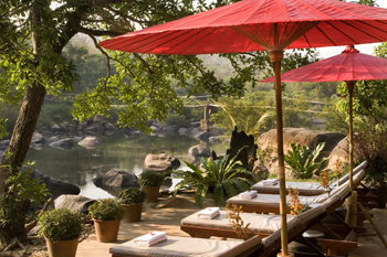 เรนฟอเรสท์ รีสอร์ท